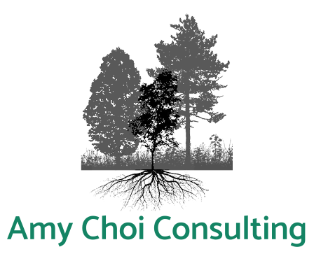 Amy Choi Consulting